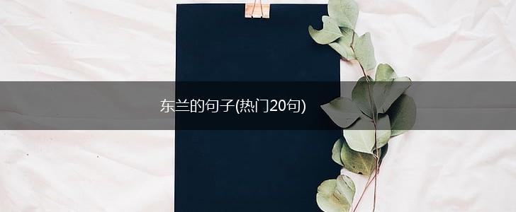 东兰的句子(热门20句),第1张