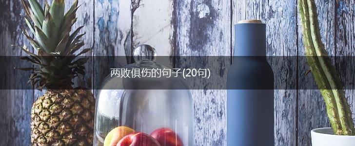 两败俱伤的句子(20句),第1张 两败俱伤的句子(20句),第1张