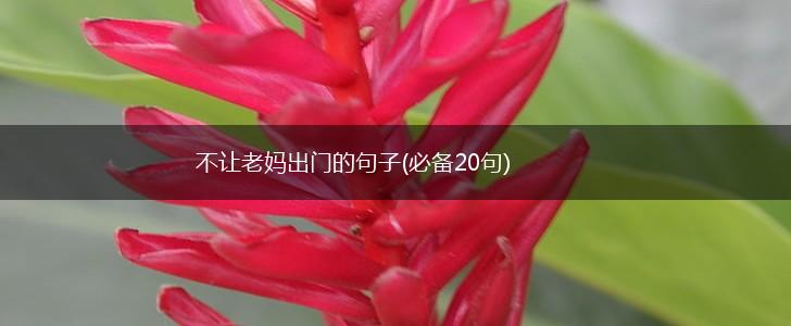 不让老妈出门的句子(必备20句),第1张