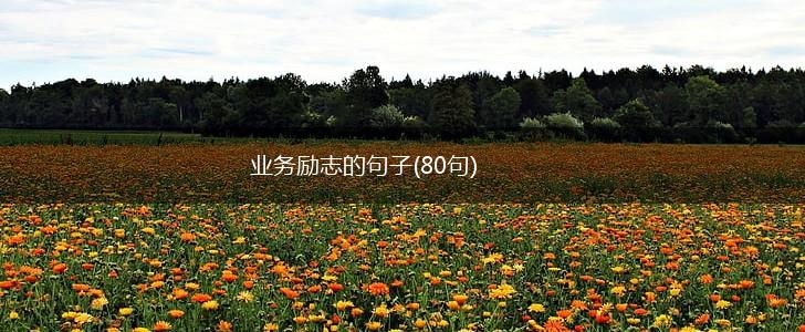 业务励志的句子(80句),第1张