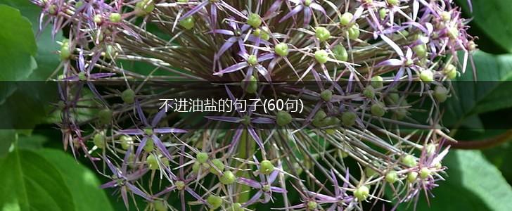 不进油盐的句子(60句),第1张