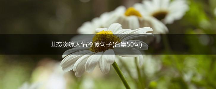 世态炎凉人情冷暖句子(合集50句),第1张 世态炎凉人情冷暖句子(合集50句),第1张