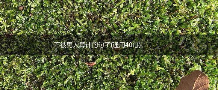 不被男人算计的句子(通用40句),第1张