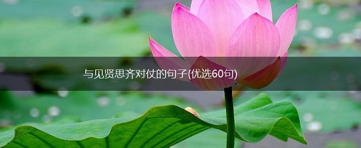 与见贤思齐对仗的句子(优选60句),第1张