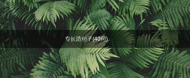 专长造句子(40句),第1张