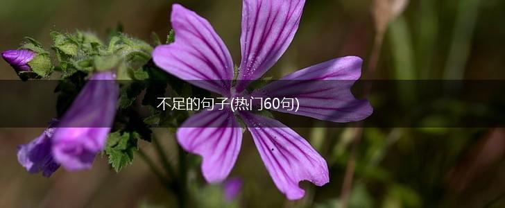 不足的句子(热门60句),第1张