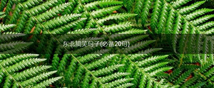 东北搞笑句子(必备20句),第1张
