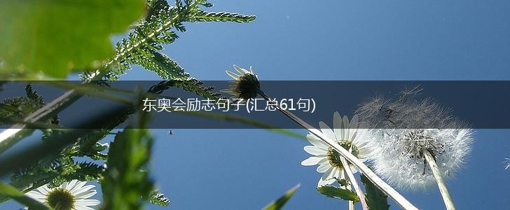 东奥会励志句子(汇总61句),第1张
