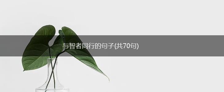 与智者同行的句子(共70句),第1张