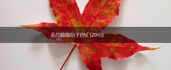 丢尽脸面句子(热门20句),第1张