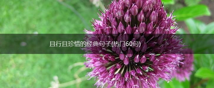 且行且珍惜的经典句子(热门60句),第1张