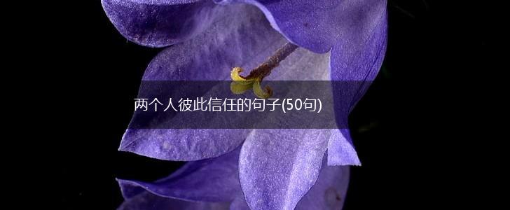 两个人彼此信任的句子(50句),第1张