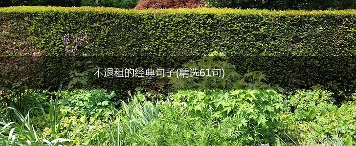 不退租的经典句子(精选61句),第1张
