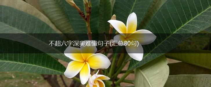 不超六字深奥难懂句子(汇总80句),第1张