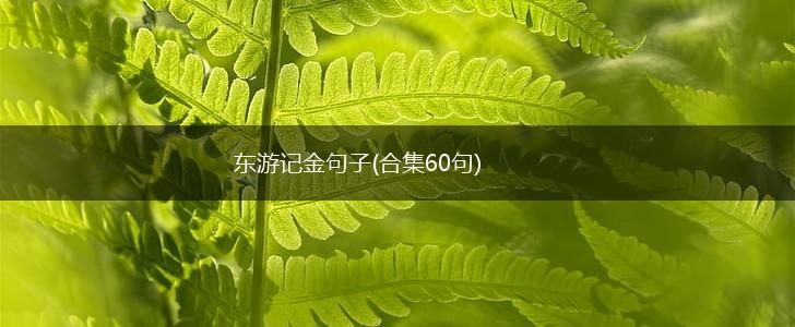 东游记金句子(合集60句),第1张
