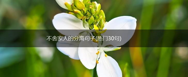 不舍家人的分离句子(热门30句),第1张