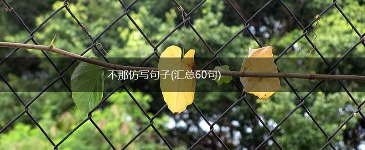 不那仿写句子(汇总60句),第1张