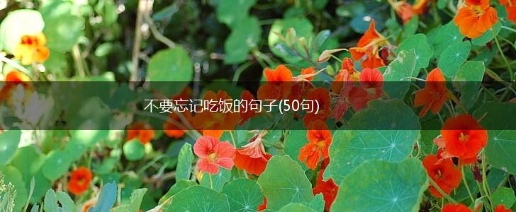 不要忘记吃饭的句子(50句),第1张