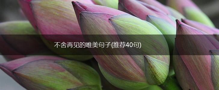 不舍再见的唯美句子(推荐40句),第1张