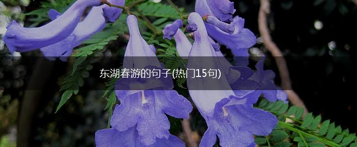 东湖春游的句子(热门15句),第1张