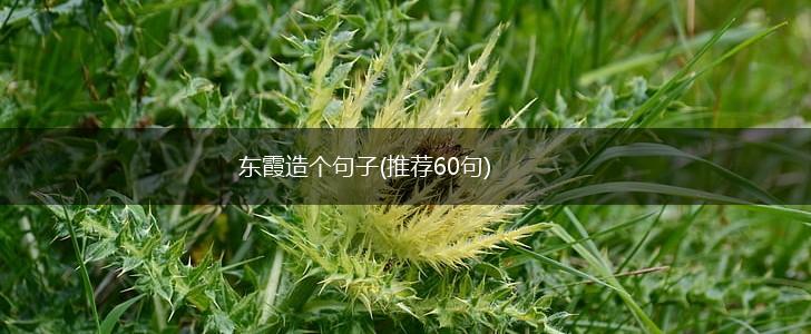 东霞造个句子(推荐60句),第1张