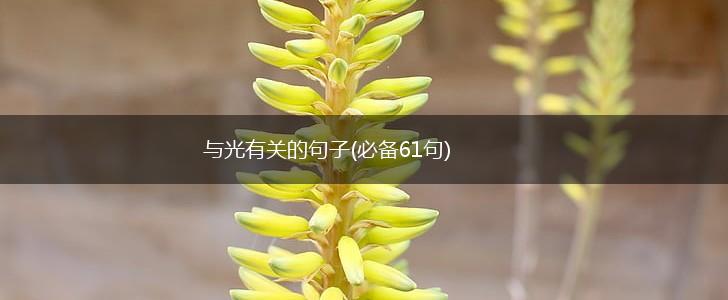 与光有关的句子(必备61句),第1张