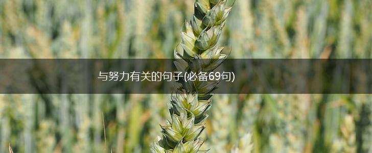 与努力有关的句子(必备69句),第1张