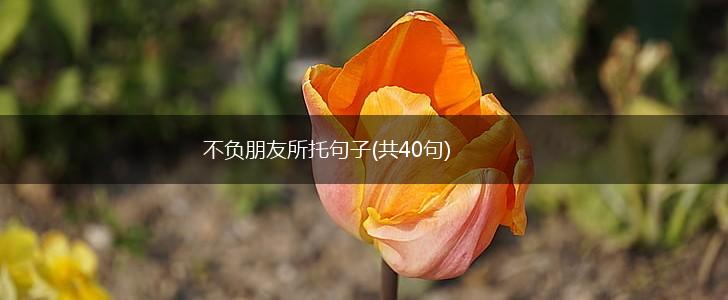 不负朋友所托句子(共40句),第1张