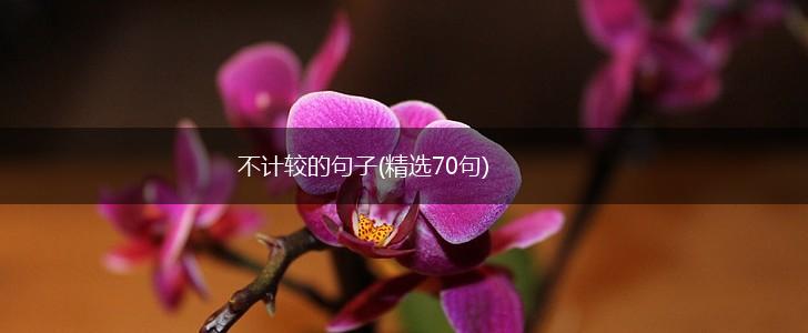不计较的句子(精选70句),第1张 不计较的句子(精选70句),第1张