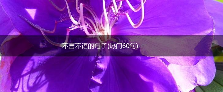 不言不语的句子(热门60句),第1张