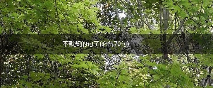 不默契的句子(必备70句),第1张