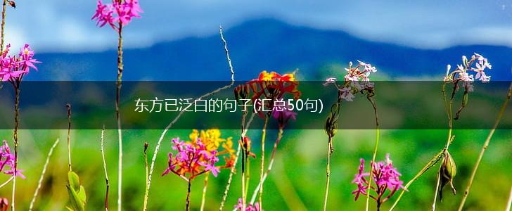 东方已泛白的句子(汇总50句),第1张