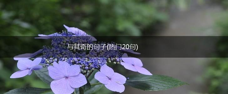 与其奇的句子(热门20句),第1张