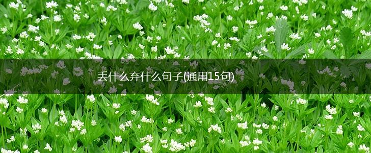丢什么弃什么句子(通用15句),第1张