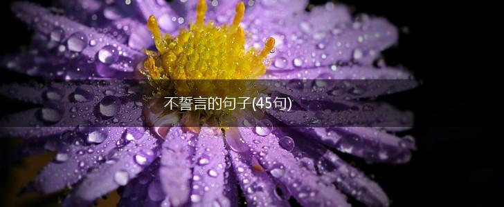 不誓言的句子(45句),第1张