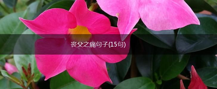 丧父之痛句子(15句),第1张