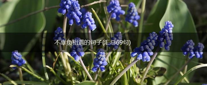 不辜负相遇的句子(汇总69句),第1张