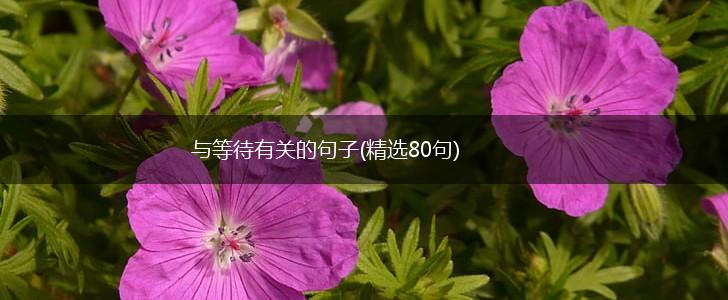 与等待有关的句子(精选80句),第1张