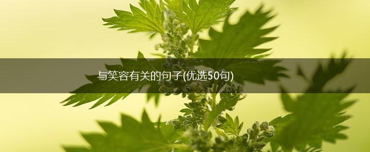 与笑容有关的句子(优选50句),第1张