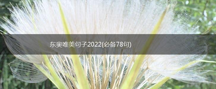 东奥唯美句子2022(必备78句),第1张