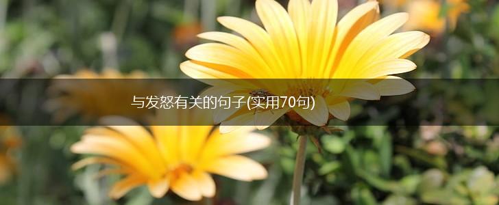 与发怒有关的句子(实用70句),第1张