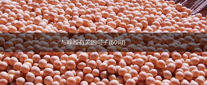 与峥嵘有关的句子(60句),第1张