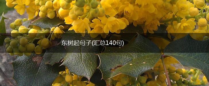 东树起句子(汇总140句),第1张 东树起句子(汇总140句),第1张