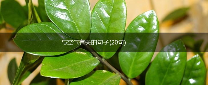 与空气有关的句子(20句),第1张