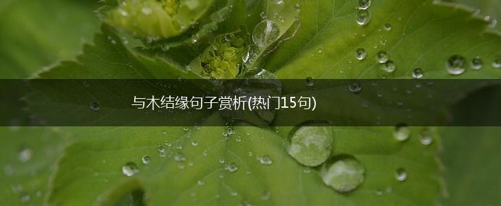 与木结缘句子赏析(热门15句),第1张