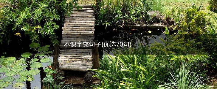 不识字变句子(优选70句),第1张