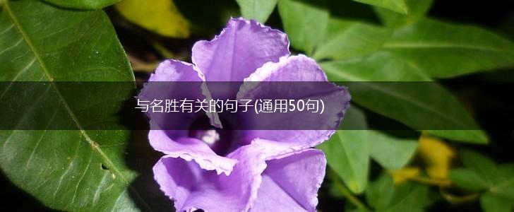 与名胜有关的句子(通用50句),第1张