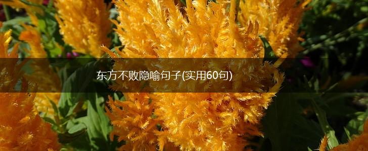东方不败隐喻句子(实用60句),第1张
