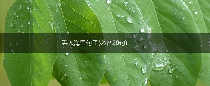 丢入海里句子(必备20句),第1张