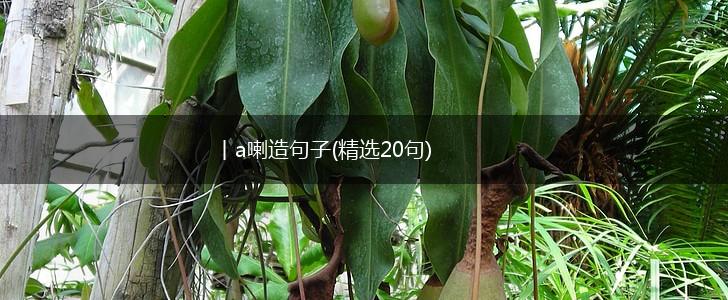 丨a喇造句子(精选20句),第1张